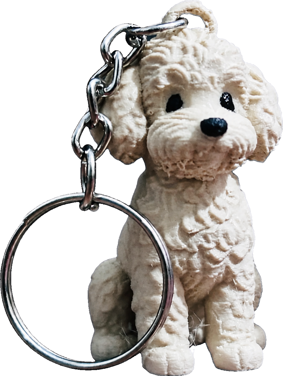 Cão Caniche