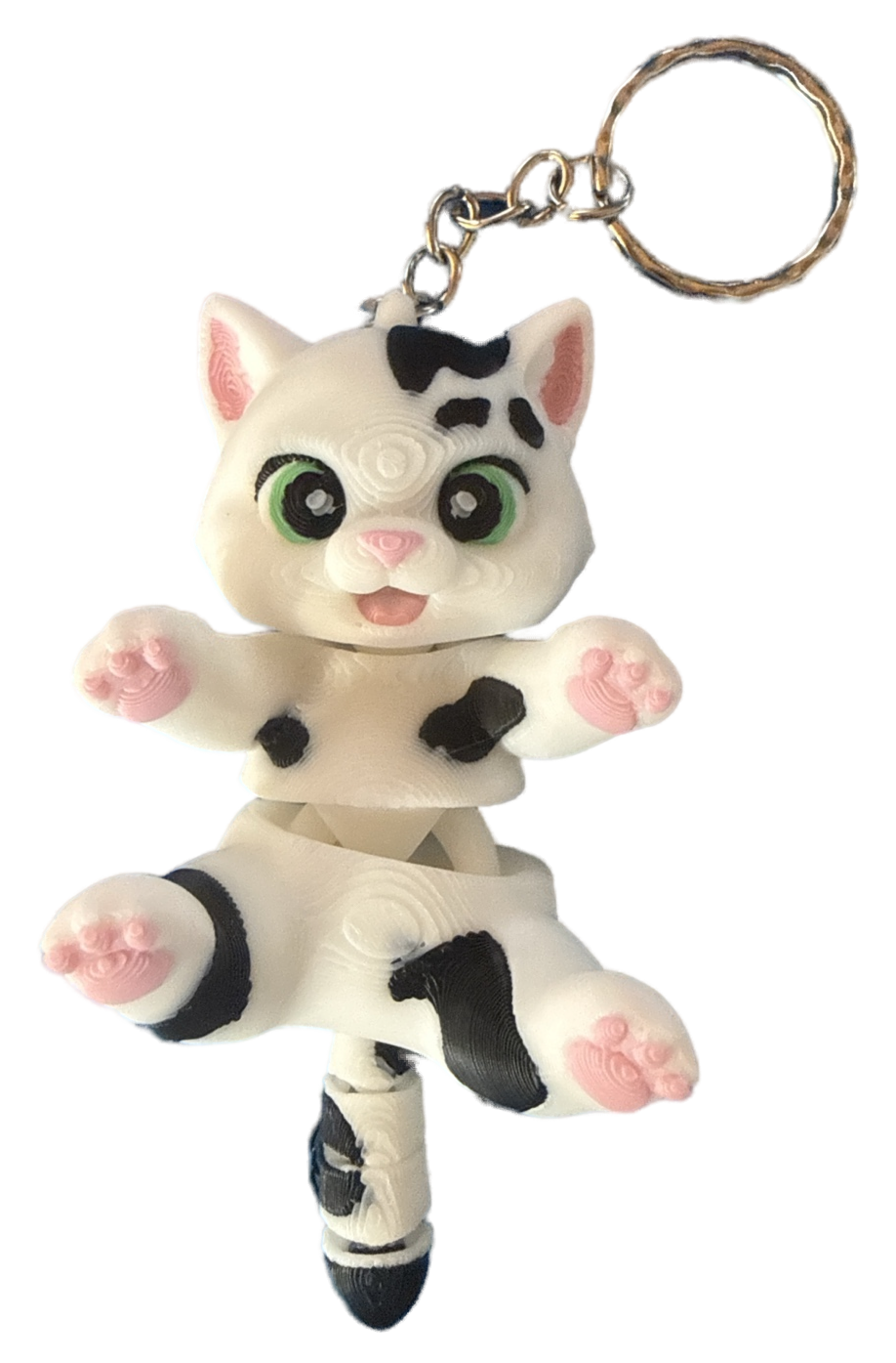 Gatinho Malhado