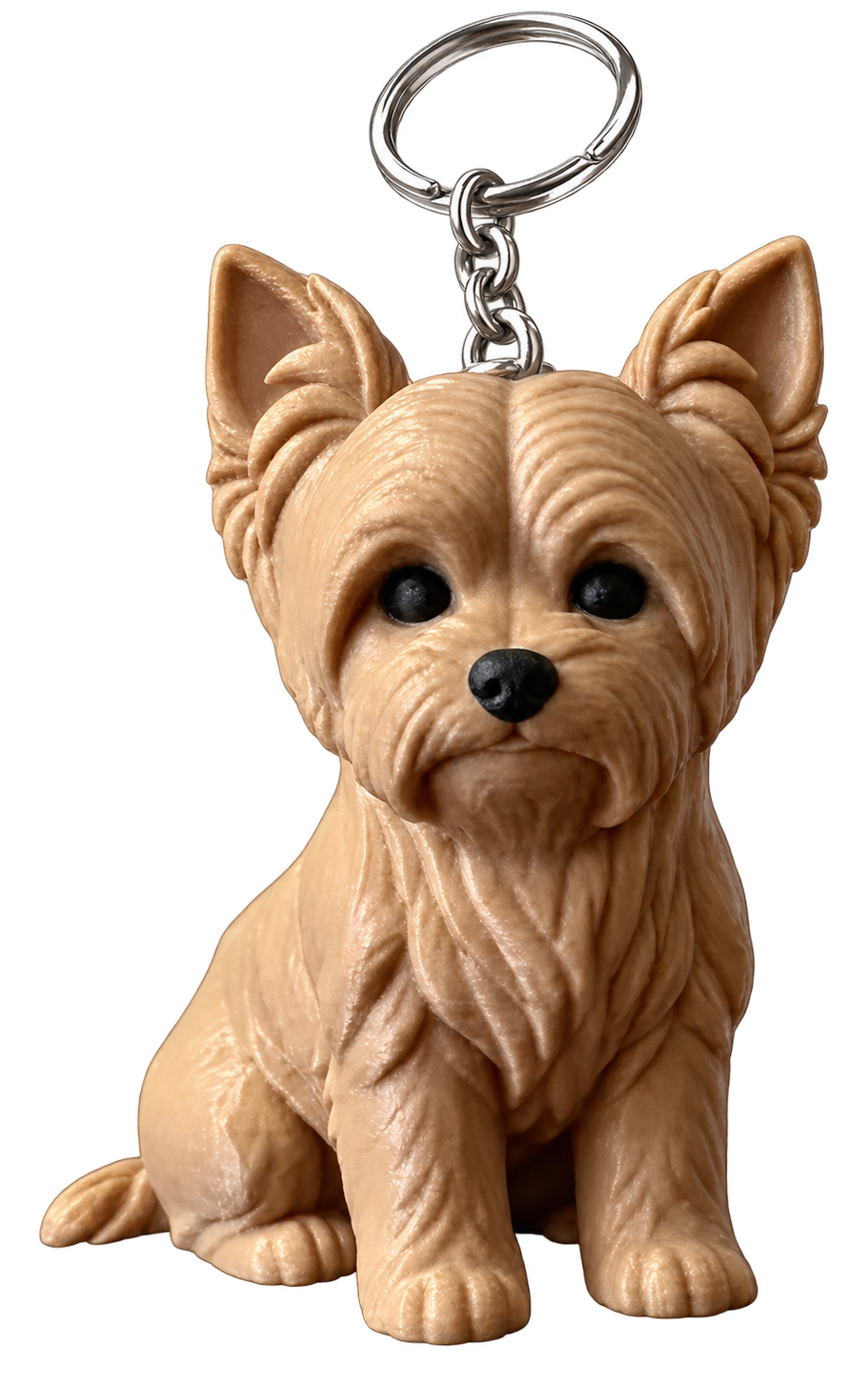 Cão Yorkshire