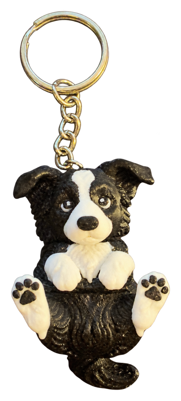 Cão Border Collie